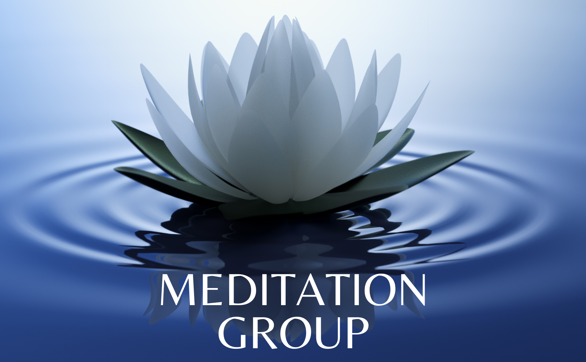 Beautiful Lotus in a Sea of Fire: Meditation Group on Wednesdays